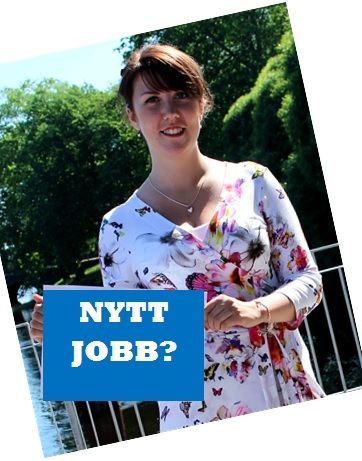 sofieohberg tweet picture