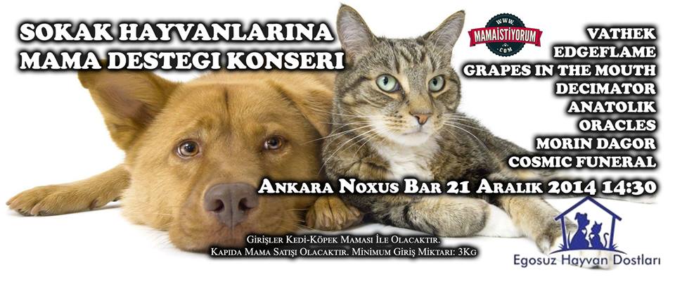 zllktlr's tweet photo. @TCylz >21 ARALIK ANKARA SOKAK HAYVANLARINA MAMA DESTEĞİ KONSERİ GİRİŞ: ÜCRETSİZ https://t.co/6ozf7t9R9F … … … http://t.co/63spTuRmXQ