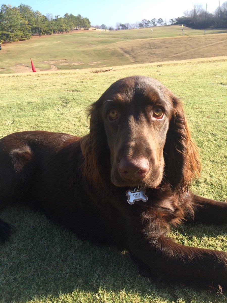 Lester George tweet media