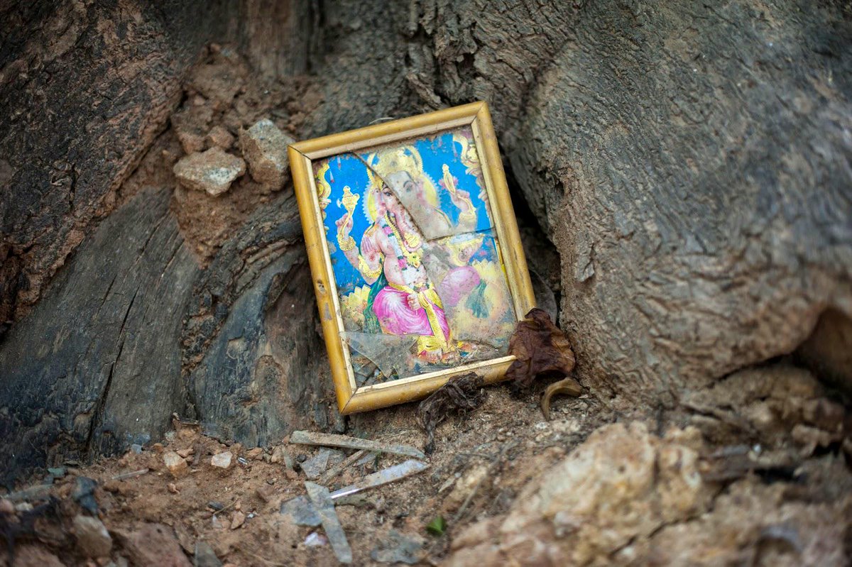 Alexander Chamas tweet media