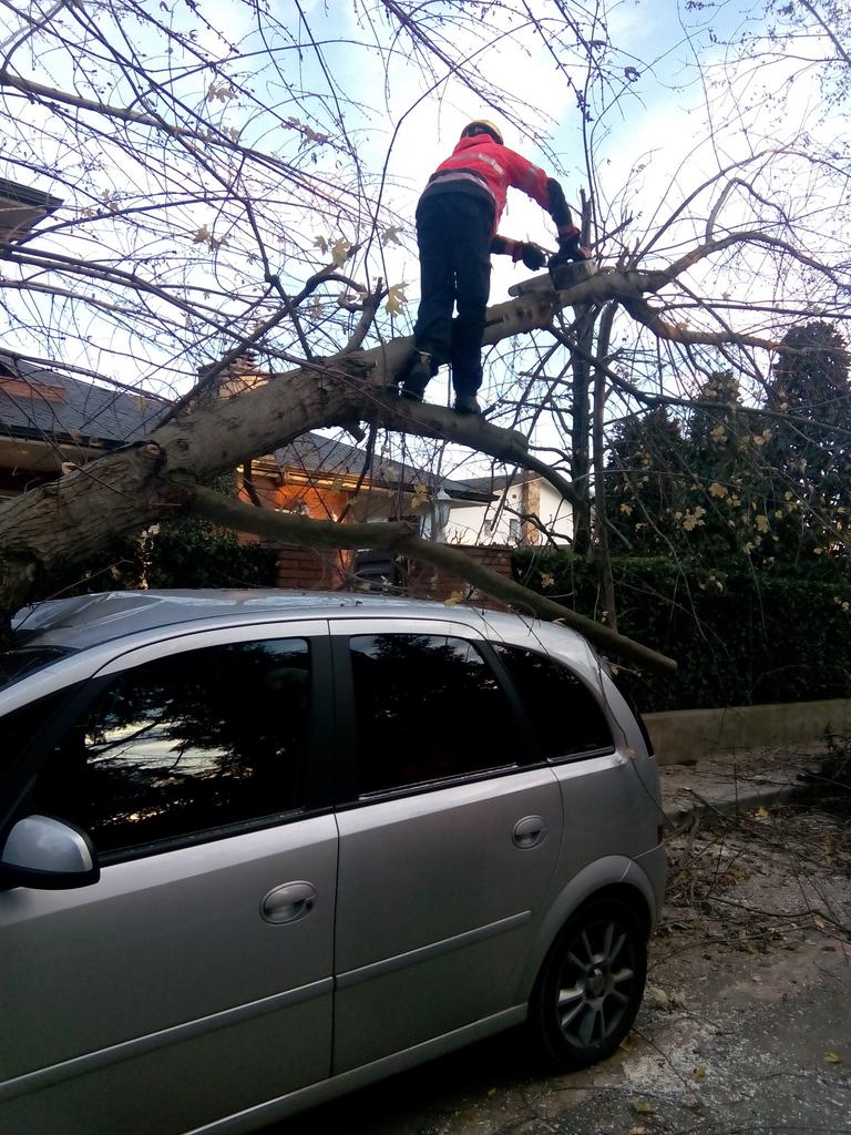 EsteveSerda's tweet photo. Efectes d les ventades a cardadeu. Graf Girona treballant. http://t.co/sVdp1CMMt7