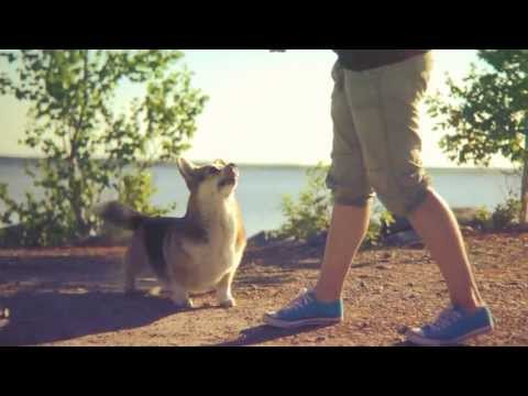 Squeebles tweet media