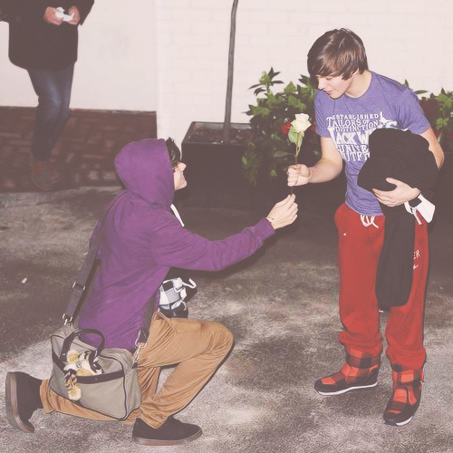 ChiaraAlbion's tweet image. "Maybe send him a flower."

#LarryStylinson 
#LarryIsReal 
#stoptocontrollarry