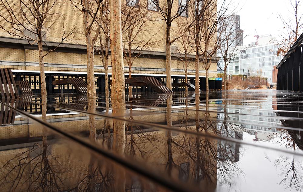 highlinenyc's tweet photo. "Rain is grace; rain is the sky descending to the earth; without rain, there would be no life."—John Updike http://t.co/NbXYKuhl5S