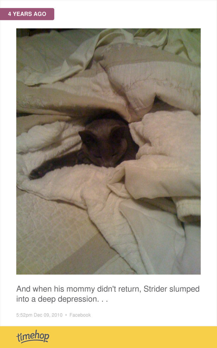 MeaganRoseB23's tweet photo. :( i miss this boy  http://t.co/KEdts9dl8V http://t.co/Mebwk5vbpX
