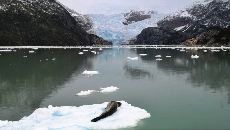 Discover the wildlife of Karukinka &amp; see why we partnered with <a href="/TheWCS/">WCS</a> to preserve the region. link.gs.com/5PWE