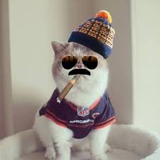 fakeLeyendecker's tweet photo. Otis is still cheering on Da Bears! He is all in on Jay Cutler!  #DaBears #IBelieveinJay http://t.co/03Dbc1uxdQ