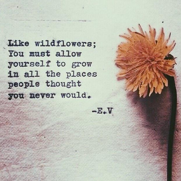 Love this #MiniReminder ❤️ and I've always liked dandelions! 🌱 #inspiration