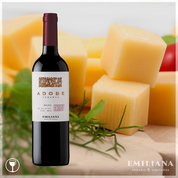 Adobe Malbec, perfect to end the day with cheeses such as Cheddar, Roquefort, Gruyere and Gauda. Enjoy! #pairing