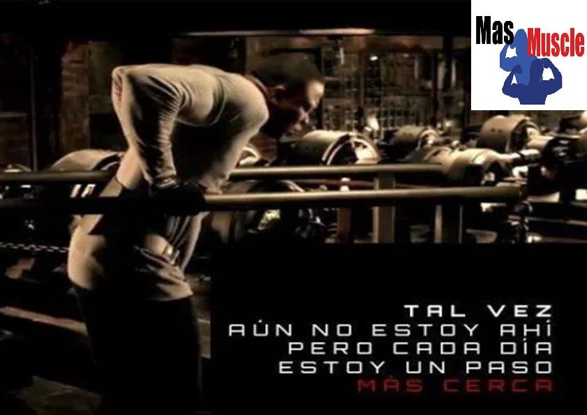 MuscleMas tweet picture