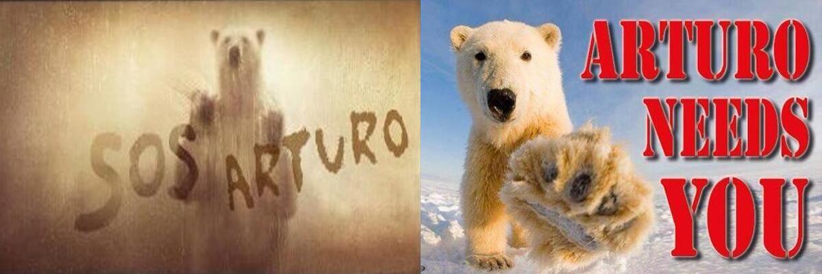 FreeArturo2's tweet photo. Arturo sends 🆘 for YOUR help

see http://t.co/YUWe73L7sa  for copy/paste 📧 to UFIMA

#Storm4Arturo #Anipals http://t.co/4oEWfsf9Ja