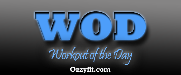 OzzyFit tweet picture