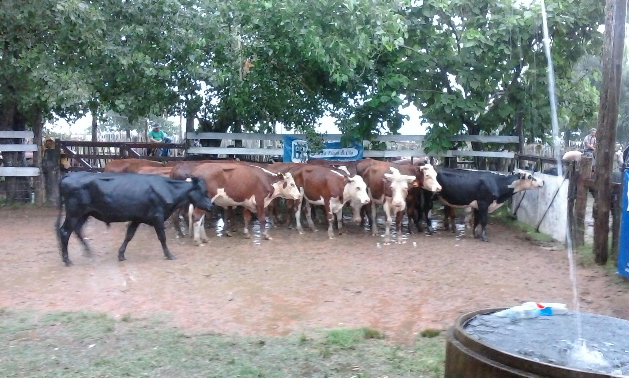 Enlace permanente de imagen incrustada