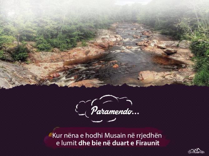 arsimbeka tweet picture