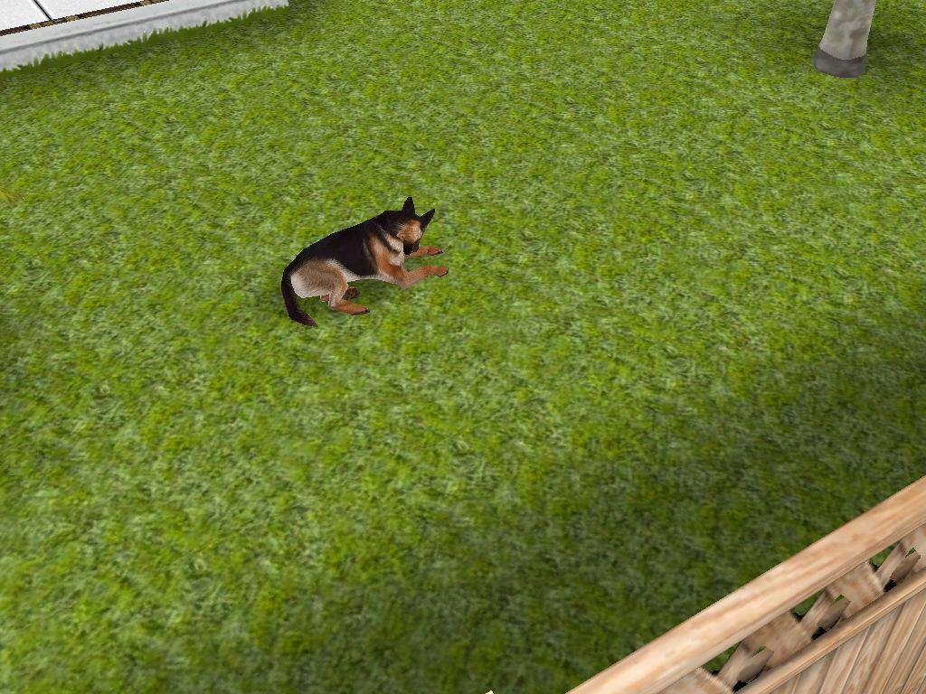 termagatorbytes's tweet image. Doggy smarturl.it/SimsFreePlay_FB