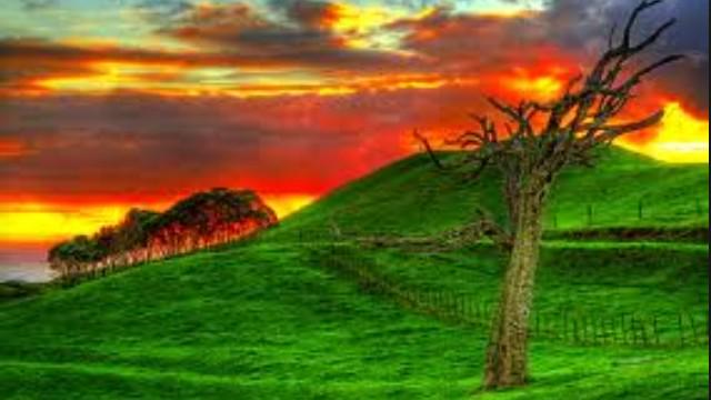 Soma747Soma's tweet photo. The gentle warmth of friendship is there for all to feel ☺ http://t.co/dKOvrrIlvN