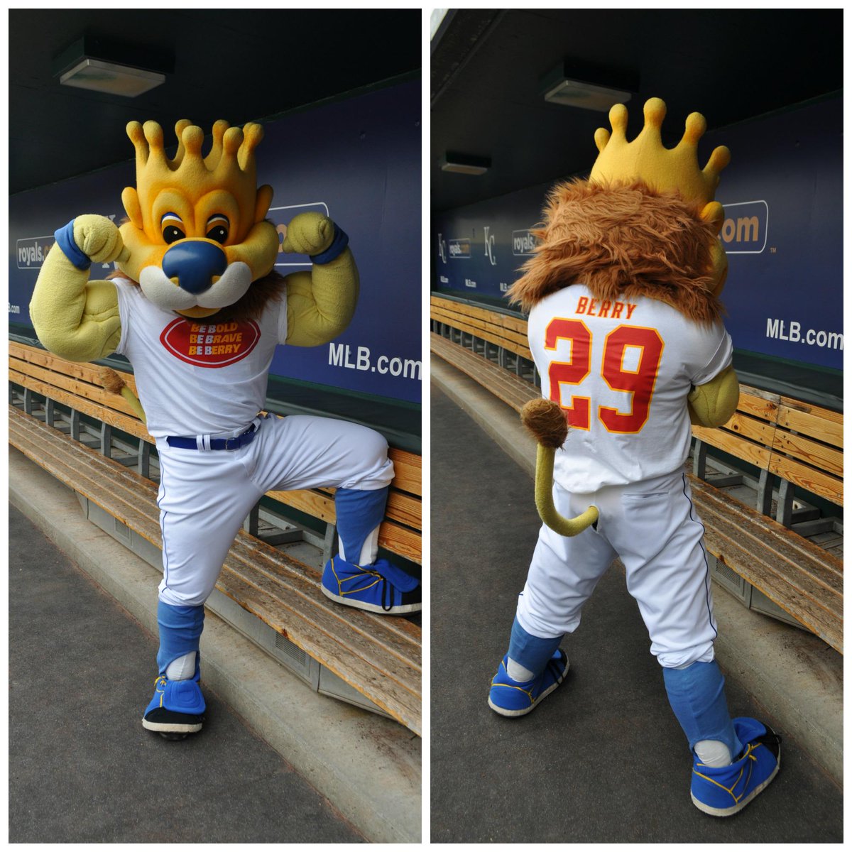 Royals tweet picture