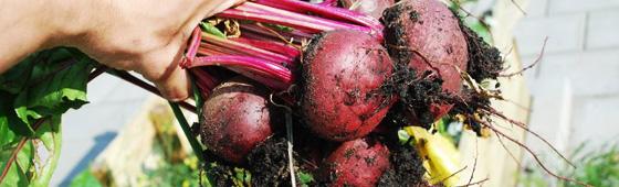 M Schippers tweet media