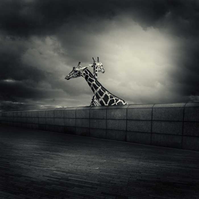 photohab's tweet photo. Photo Manipulations by Michal Giedrojc https://t.co/F5sJLZx26Q http://t.co/0eEqhJCVmQ