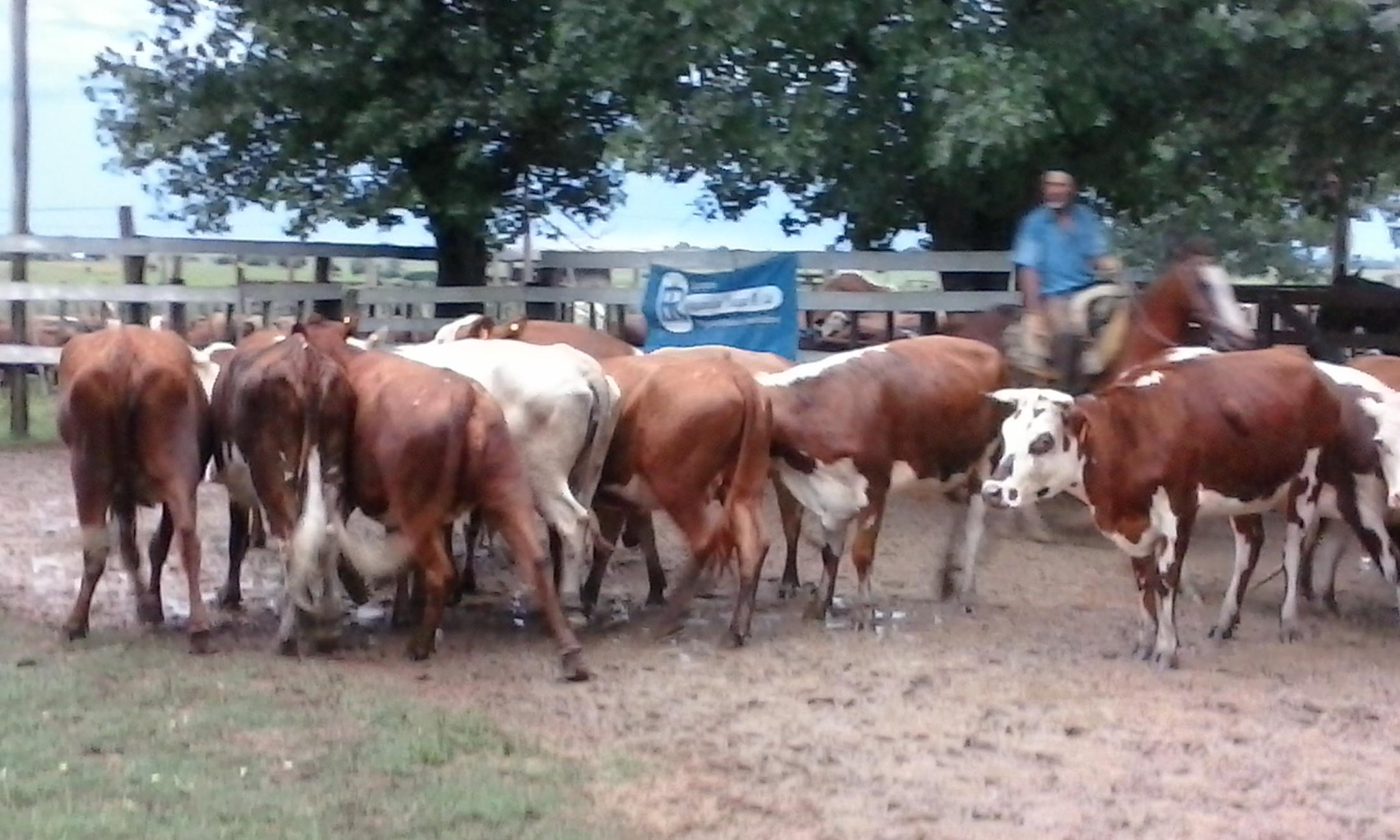 Enlace permanente de imagen incrustada