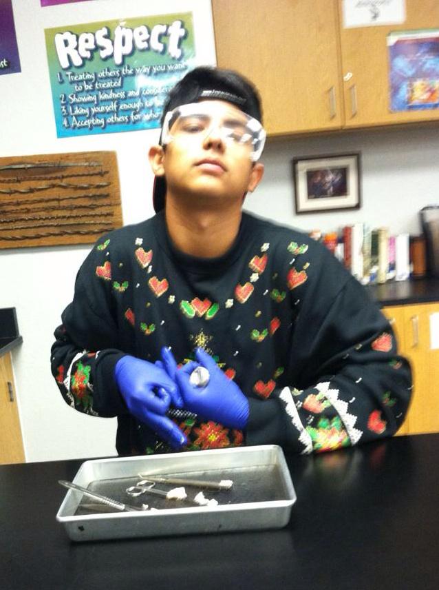 Mav_Reto's tweet photo. We were dissecting eyes today #PB480 http://t.co/JPtiOGAJgC