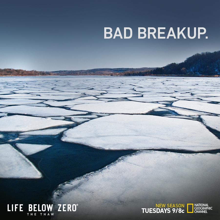 LifeBelowZeroTV tweet picture