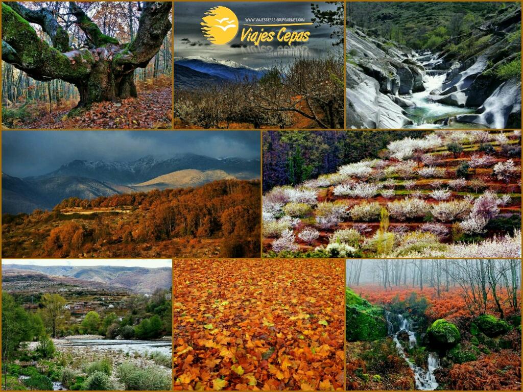 ¡El valle del Jerte, elegido el mejor paisaje de otoño! kcy.me/1eftb ¡¡#RT si lo conoces y piensas igual!!