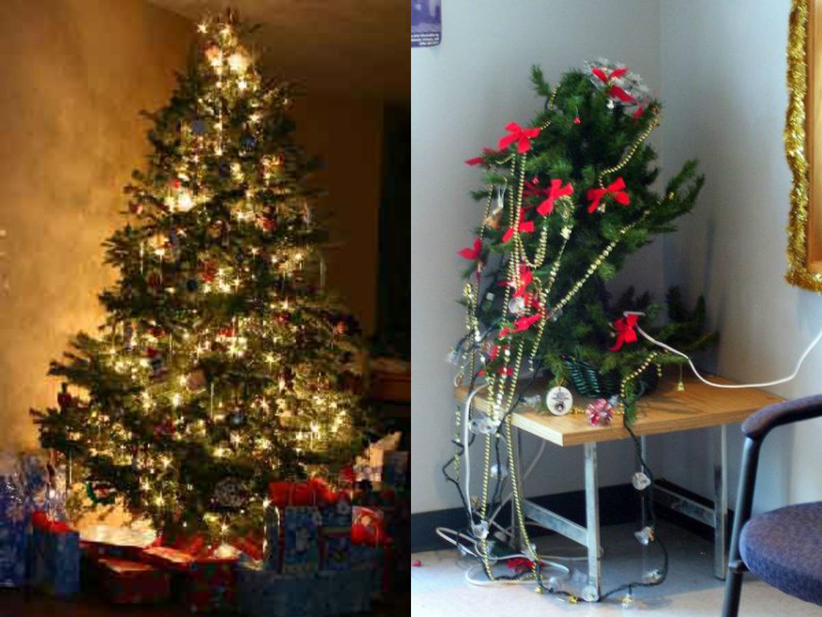 SrMuntz's tweet photo. expectativa / realidad http://t.co/vXVS9ARv61