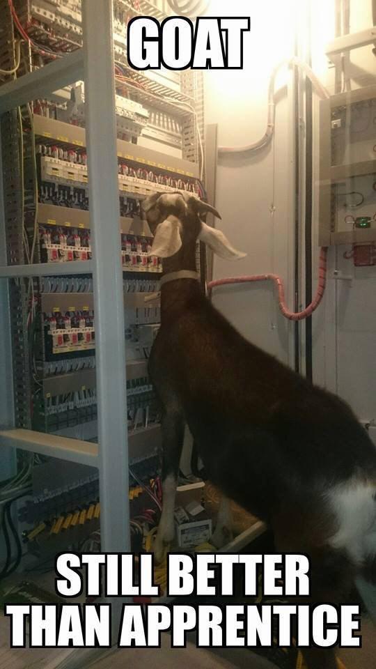 reeveelectrical's tweet photo. http://t.co/ZXdd9Toy4O