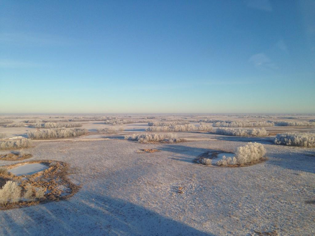 jessolver's tweet image. 