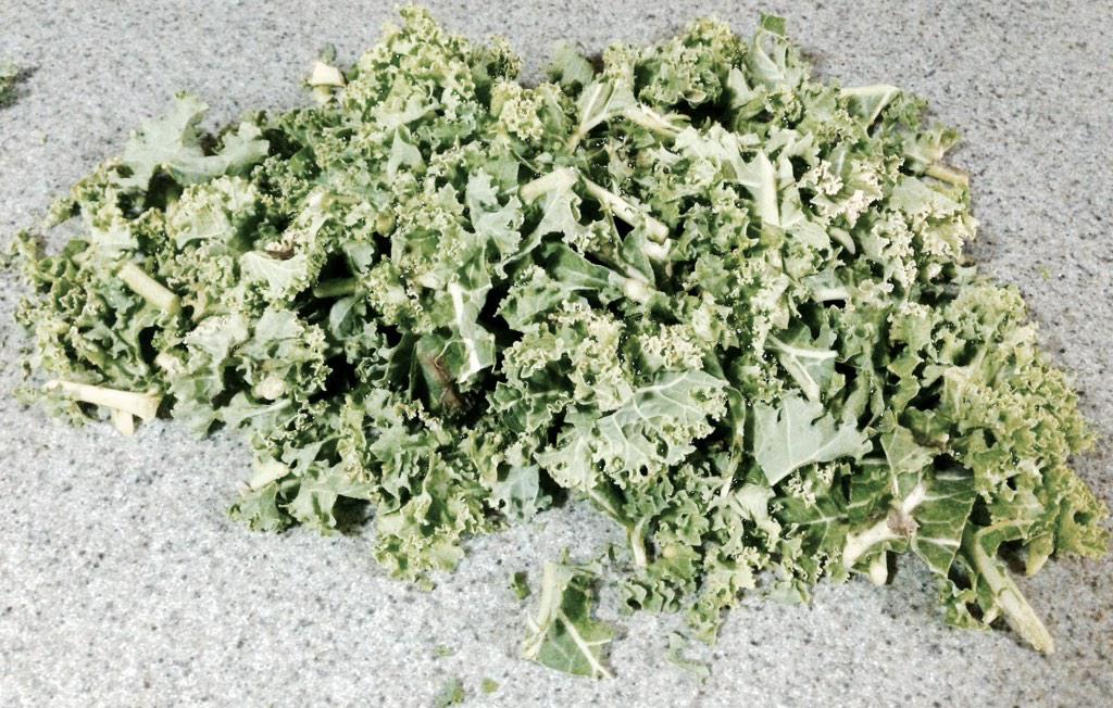 DJMikeJudah's tweet photo. @Wegmans this is the pile I just made of wilted yellow and aphid infested pieces of kale from the Ithaca store :( http://t.co/1HMgWR2SzK