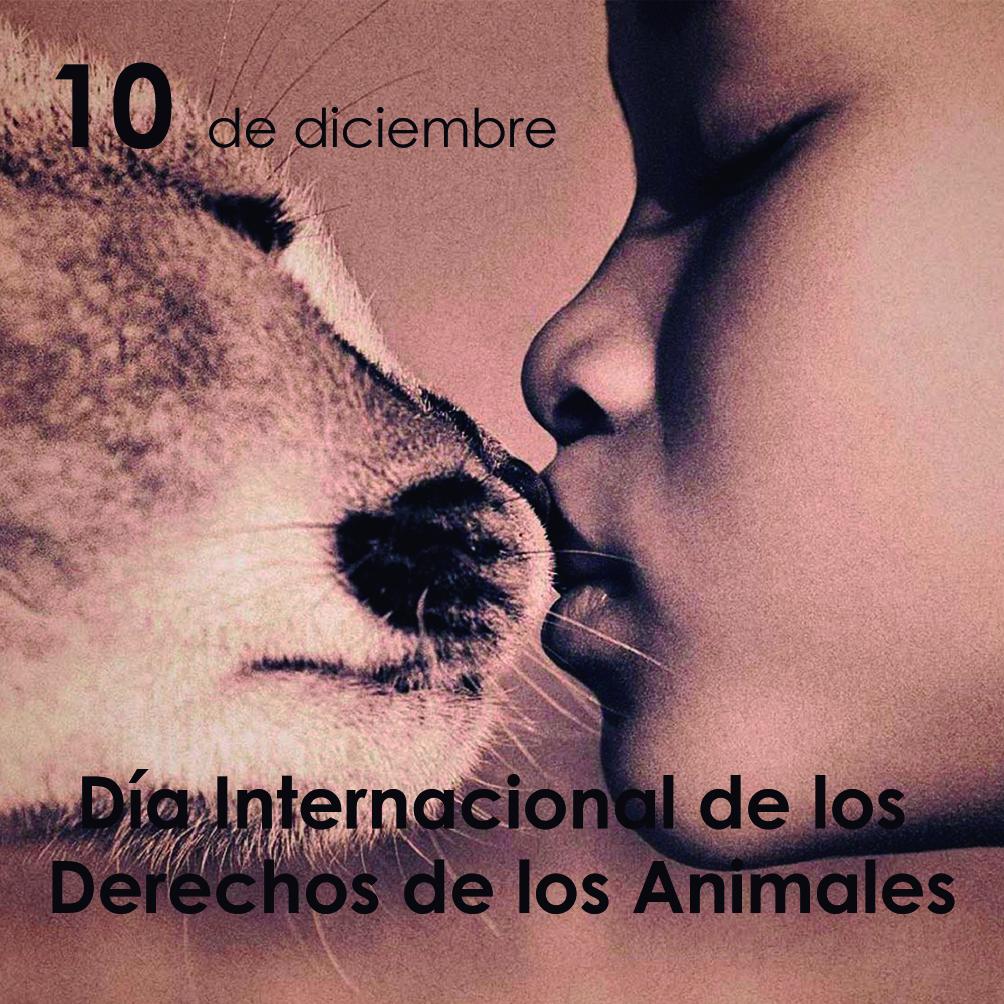 HayQueSaberlo's tweet photo. #DíaInternacionalDeLosDerechosDeLosAnimales: la injusticia y la violencia son condenables, cualquiera sea la víctima. http://t.co/wIkN0rFqLp