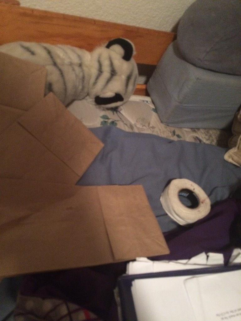 vegie_tales's tweet photo. Takagi better appreciate my book wrapping skills. Wrapped with brown lunch bags and hockey tape. #ghettoengineering http://t.co/gvIOTpfOQa