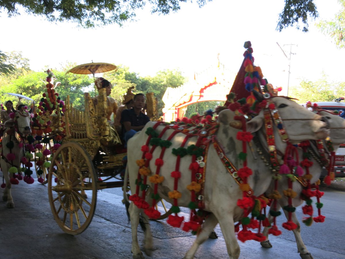 GAdv_Akayi's tweet image. #Burmatrips #gadventures #Exchangeknowledge  How Myanmar people hold Novitiation Ceremony