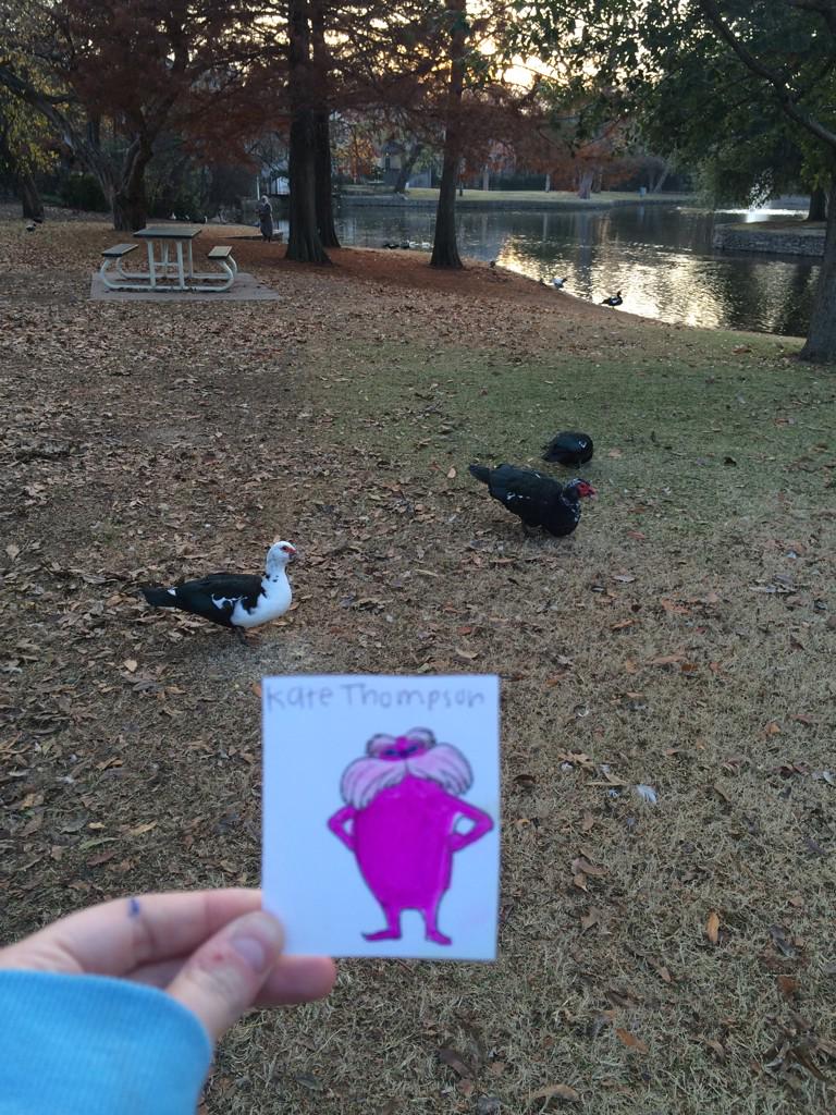 katehpapes's tweet image. #flatlorax #fergasonapes2014 #topic7 #period5 these ducks are native species to the park 🌏