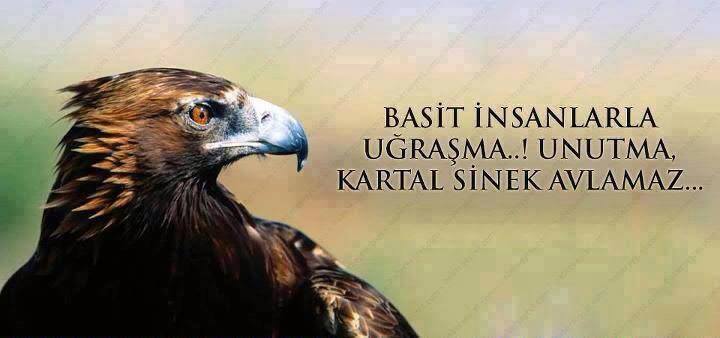 Küçük sorunlarla ve basit insanlarla uğraşma yoksa sende basit olur sıradanlaşırsın.