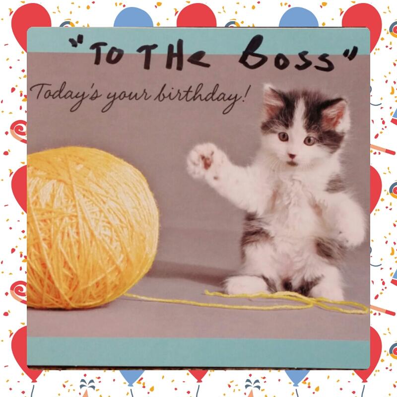 DanielleIrwin87's tweet photo. Feeling the birthday love from my dept #theboss #birthdaygirl #teamelectrical @MattKeatinghd @elizabetta1978 http://t.co/A0mno0wWVu