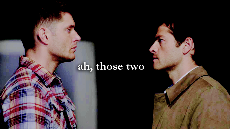 jodbrens's tweet photo. #profoundbond http://t.co/3GEi4uHERS