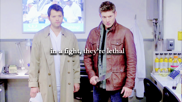 jodbrens's tweet photo. #profoundbond http://t.co/3GEi4uHERS