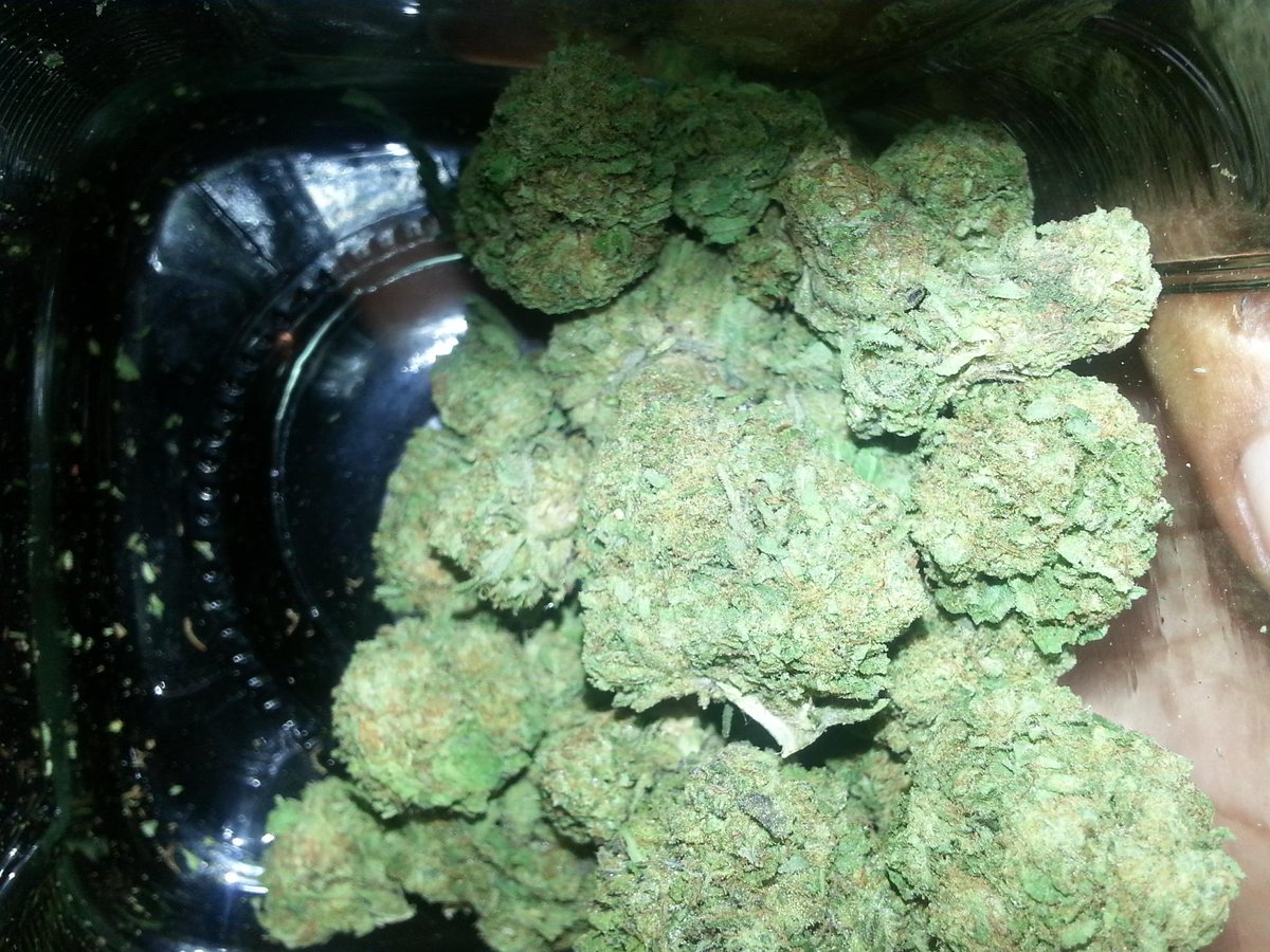 SDGREENERY_ENT's tweet image. #sandiegohiphop #420 #sandiego #sandiegoreader #torturereport #topshelflife