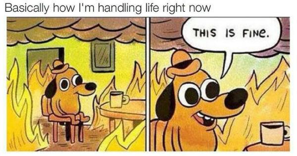 realmikefic's tweet image. Catches a cold right before finals #thisismylife #thisisfine #finalsweek