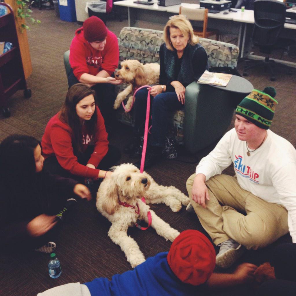 UnivOfKansas's tweet photo. Loving Paws Therapy will be at Anschutz Library Tuesdays 8-9pm, and 2-4 Saturday and Sunday. Get some #studyrelief! http://t.co/BmJKPbOq3f