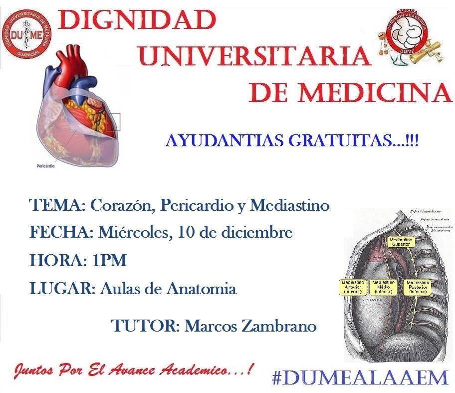 Ayudantias de Anatomía, Porque la ayuda al estudiante la damos durante todo el año.
#DUMEALAAEM