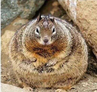 uscislaws's tweet image. After thanksgiving