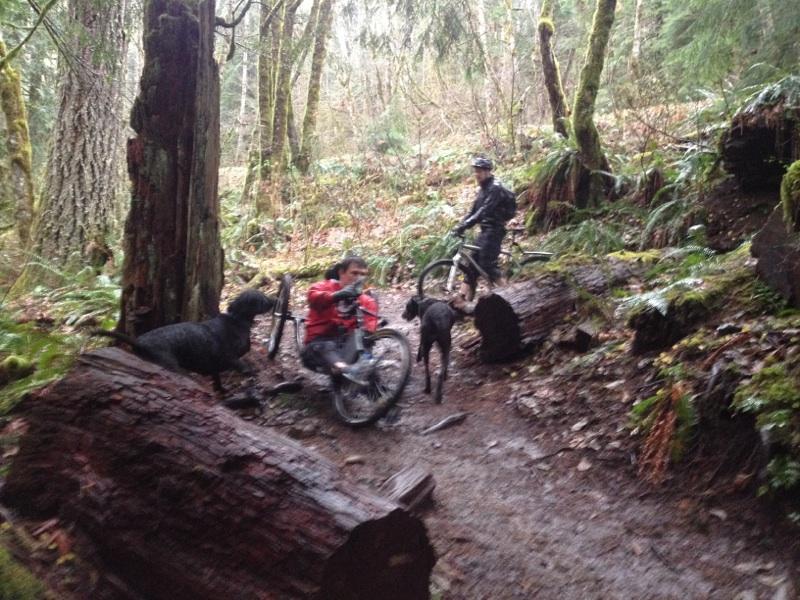 Seth McBride tweet media