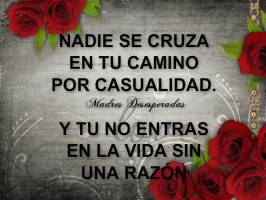 JowelR12's tweet photo. http://t.co/EZer8H9mtI