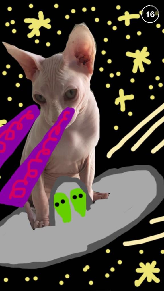 fronzsnaps's tweet photo. π½πΊ#fronzsnaps @FRONZ1LLA http://t.co/35plsqUG8w