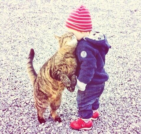 Busra_2621's tweet photo. Cok tatlılar ya :)) http://t.co/QUg72knz4G