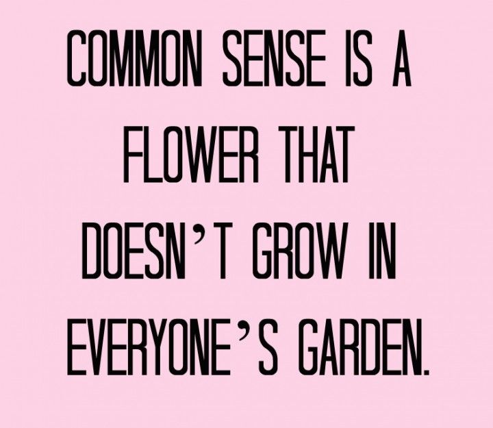 News24 Life tweet media