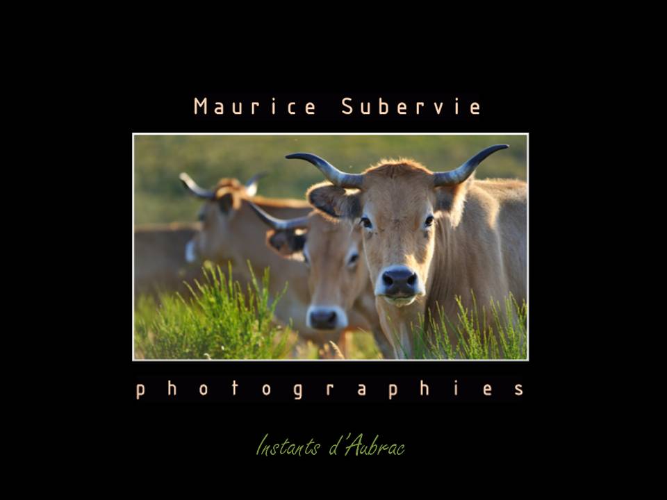 Maurice SUBERVIE photos propose un reportage sur les monts d Aubrac-Instants d Aubrac presence-mobile.com/maurice-suberv…